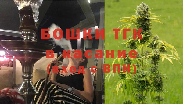 дживик Арсеньев