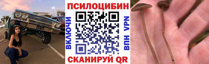 Псилоцибиновые грибы Psilocybine cubensis  магазин  наркотиков  Полярные Зори 